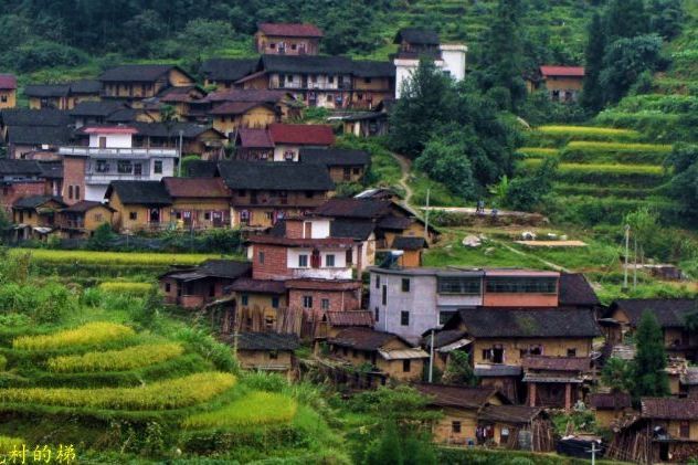 桂坑尾村 桂坑尾村