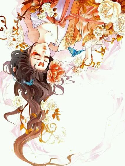 一品凰女 一品凰女