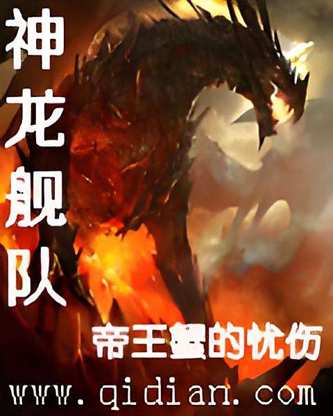 神龍艦隊 神龍艦隊