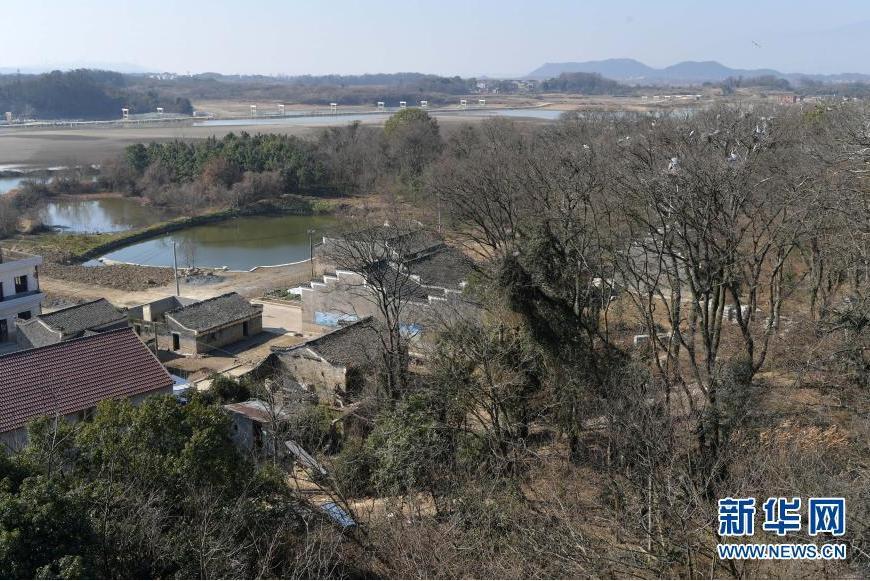 蒼鷺村 蒼鷺村