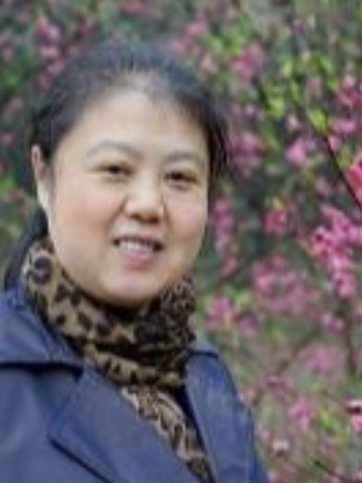 文莉(中南大學化學化工學院教師) 文莉(中南大學化學化工學院教師)