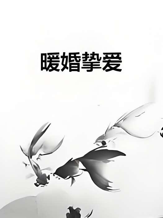 暖婚摯愛 暖婚摯愛