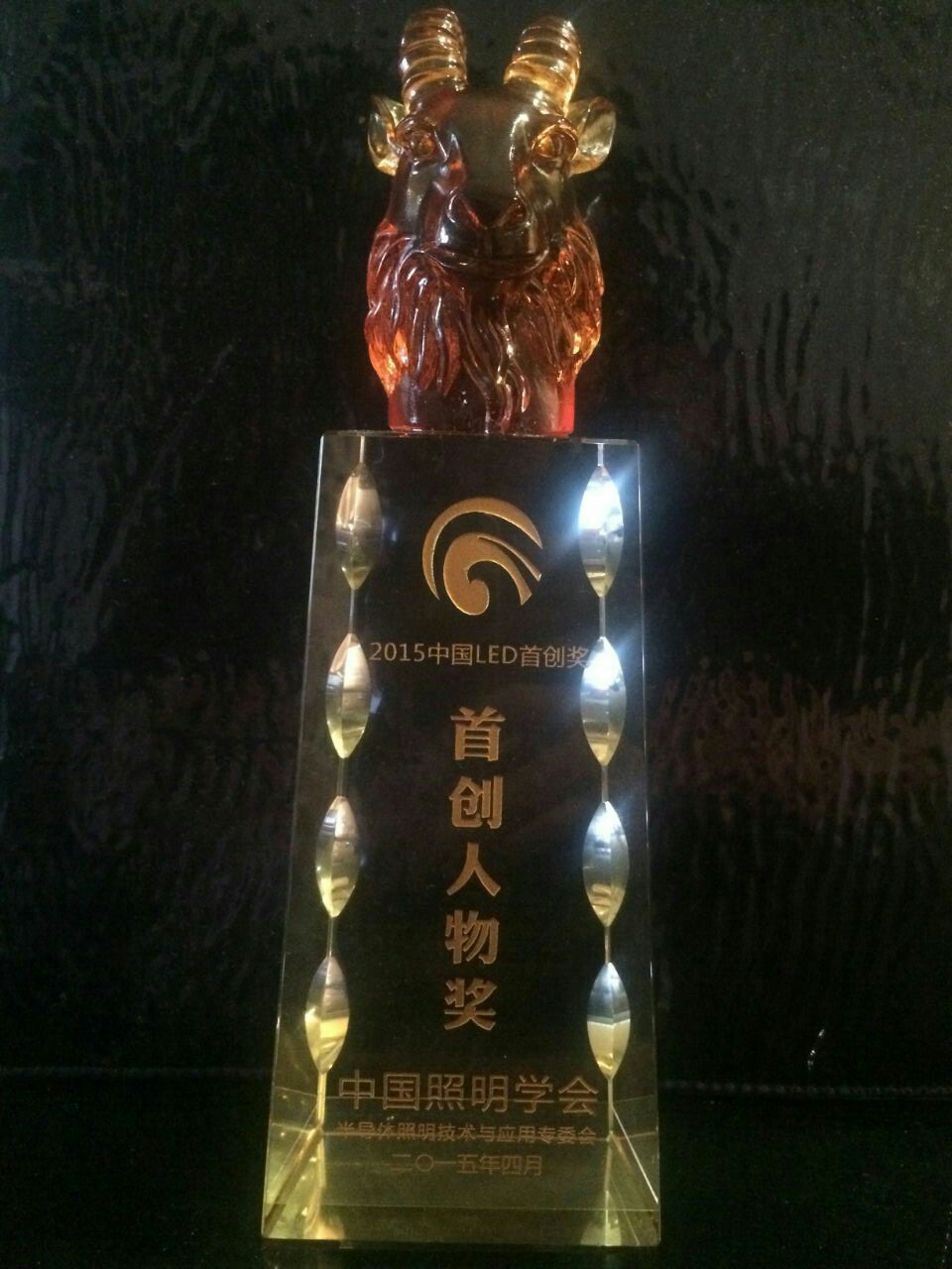 2015中國LED首創人物獎