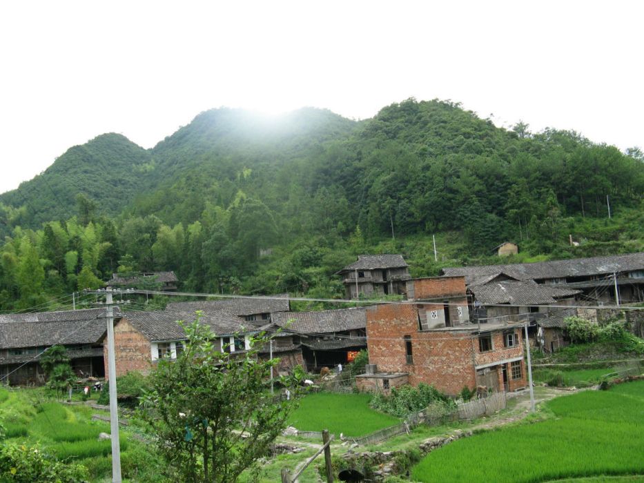 石兜村 石兜村