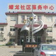 蟠龍村(福建省泉州市德化縣南埕鎮下轄村) 蟠龍村(福建省泉州市德化縣南埕鎮下轄村)