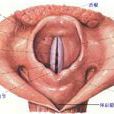 咽喉異物感