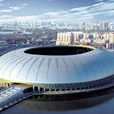 天津奧林匹克中心體育