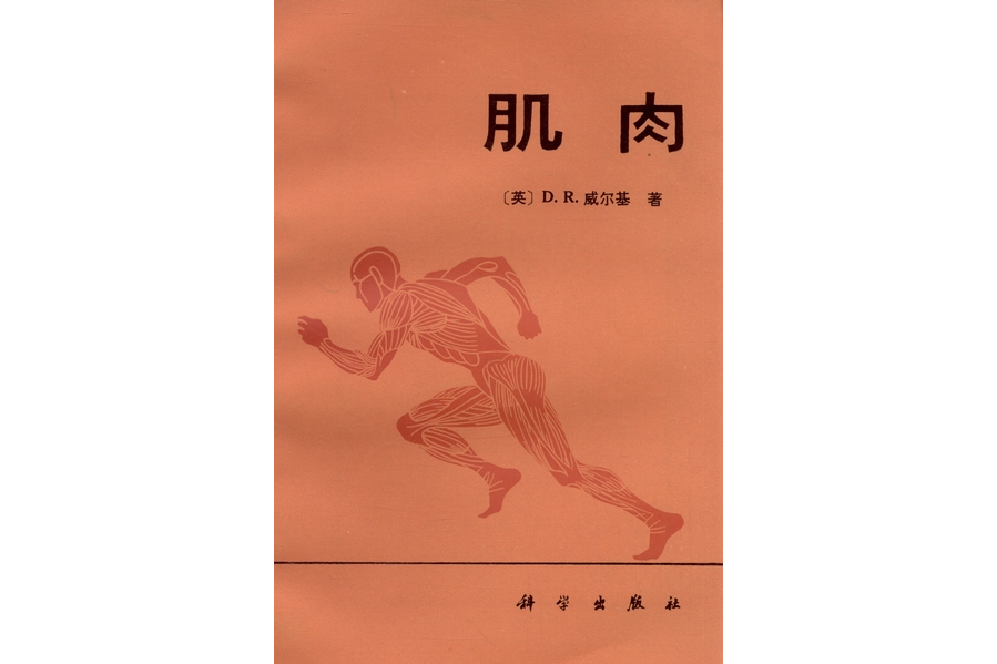 肌肉(1981年科學出版社出版的圖書) 肌肉(1981年科學出版社出版的圖書)