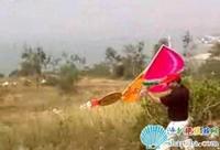 沙扒重陽風箏比賽