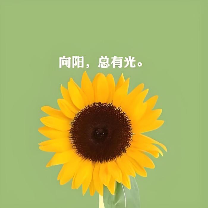 雅雅. 雅雅.