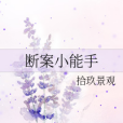 斷案小能手 斷案小能手
