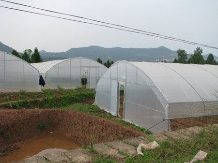 蔡家坪村(雲南省麗江市永勝縣仁和鎮下轄村)
