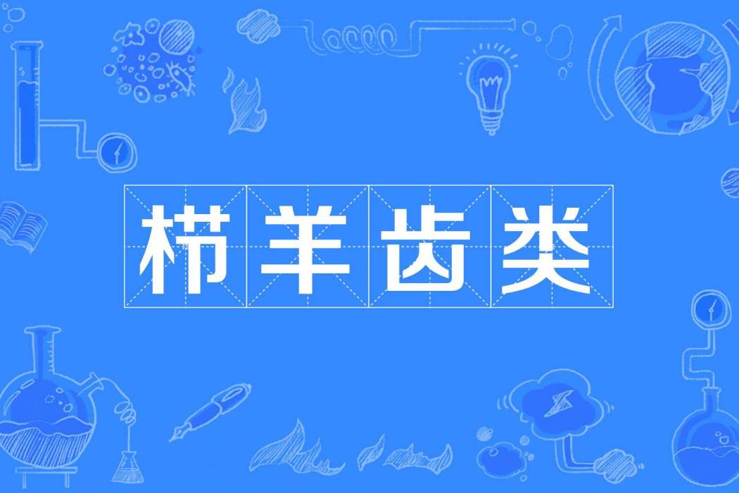 櫛羊齒類 櫛羊齒類