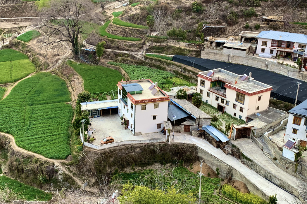 奔東村 奔東村