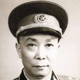 肖望東 肖望東