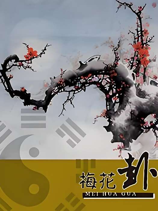 梅花卦 梅花卦