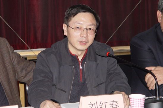 劉紅春(陝西省財政廳副廳長)