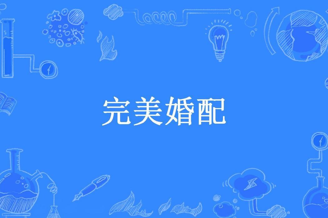 完美婚配(笑佳人創作的現代言情小說) 完美婚配(笑佳人創作的現代言情小說)