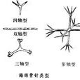 單軸骨針 單軸骨針
