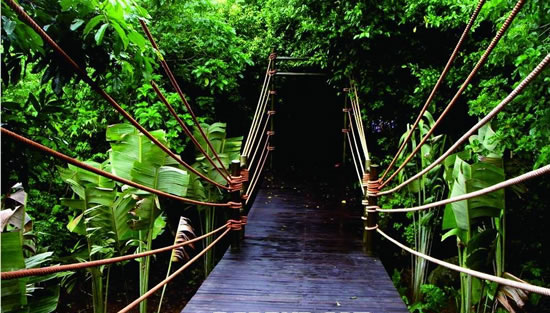 呀諾達雨林文化旅遊區