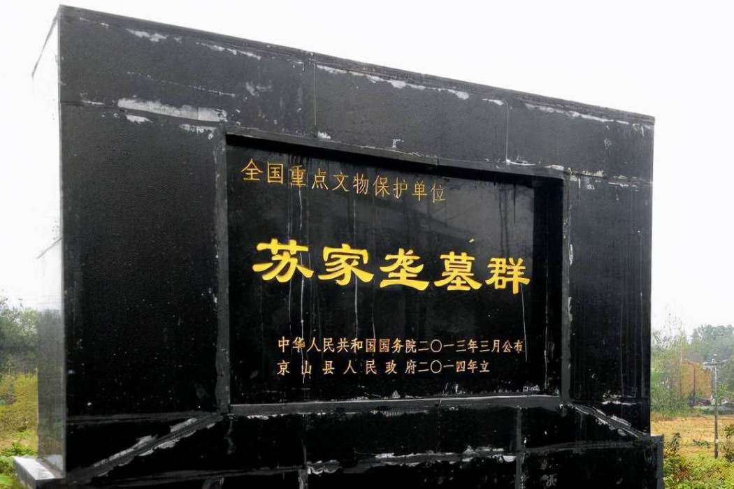 蘇家壟墓群(蘇家壟遺址)
