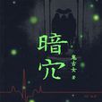 暗穴 暗穴