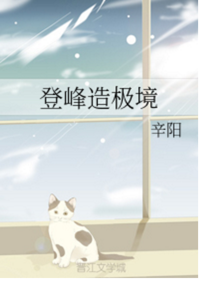 登峰造極境 登峰造極境
