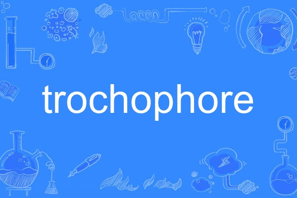 trochophore trochophore