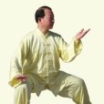 高成林(陳式太極拳第十二代傳人) 高成林(陳式太極拳第十二代傳人)