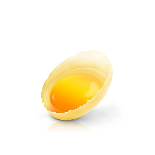 雞蛋清