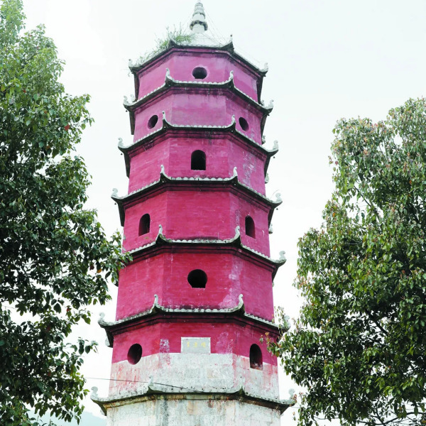 李清塔 李清塔