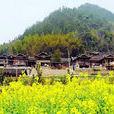 兩河口村(湖北省宣恩縣沙道溝鎮下轄村) 兩河口村(湖北省宣恩縣沙道溝鎮下轄村)