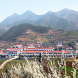 楊樹堰村 楊樹堰村