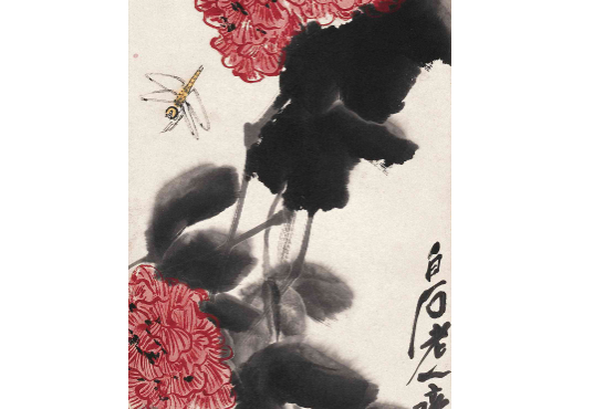 芙蓉蜻蜓 芙蓉蜻蜓