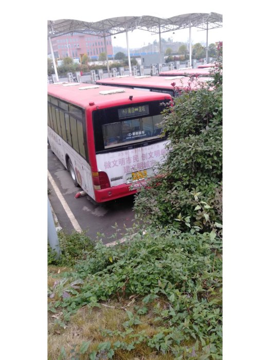 遵義公交43路 遵義公交43路