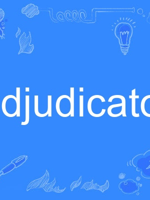 adjudicator adjudicator