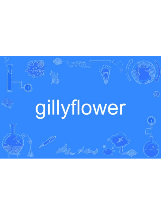 gillyflower gillyflower