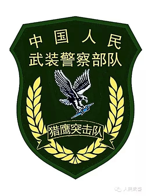 中國武警獵鷹突擊隊新臂章
