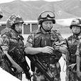 安宏偉(武警新疆總隊某部大隊長安宏偉) 安宏偉(武警新疆總隊某部大隊長安宏偉)