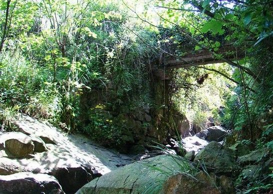 桐嶺村 桐嶺村