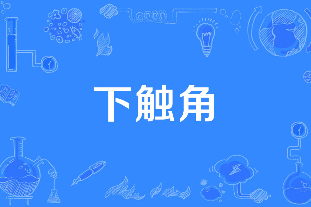 下觸角 下觸角