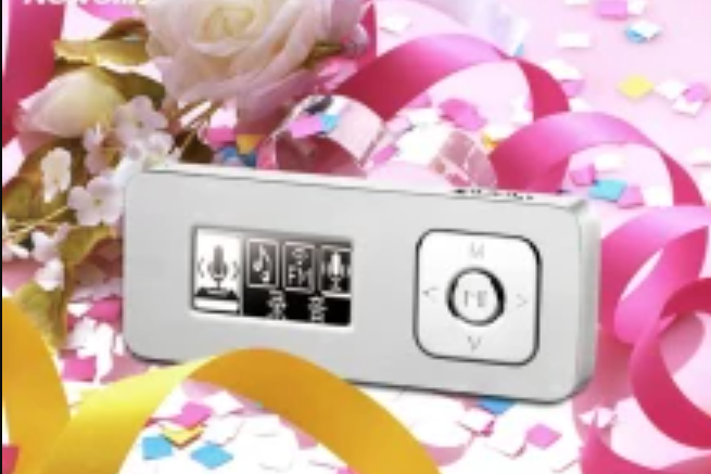紐曼B33 紐曼B33