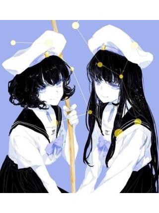星象L 星象L