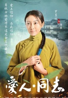 愛人同志(2016年毛衛寧執導電視劇)