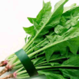 菠菜(飛龍菜) 菠菜(飛龍菜)