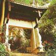 安順金光寺