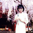 京華煙雲(1987年趙雅芝主演電視連續劇)