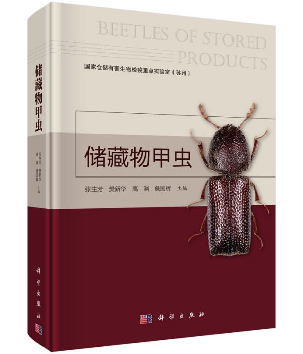 儲藏物甲蟲 儲藏物甲蟲