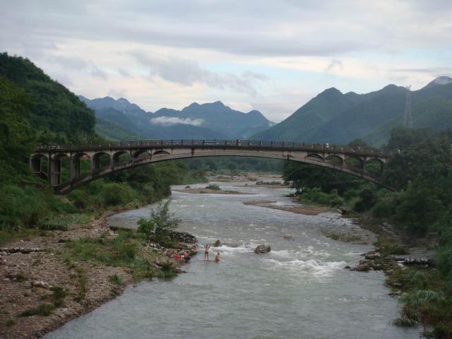 溪口高山茶