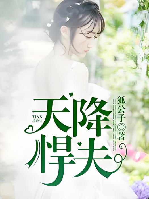 天降悍夫 天降悍夫
